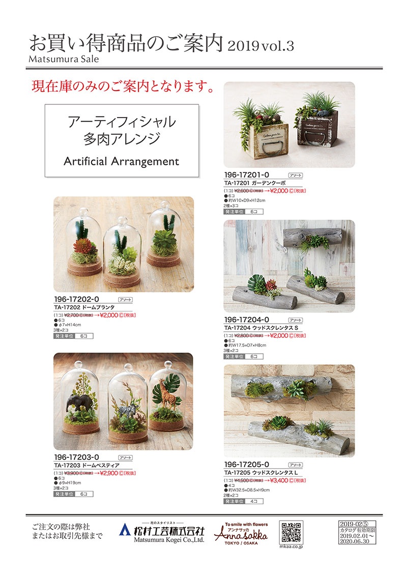 お買得商品2019多肉アレンジ